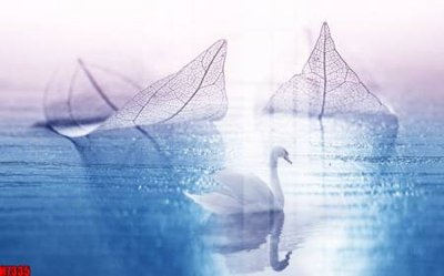 File tranh in trần 3D File tranh gốc in tranh tường nền tổng hợp H7335 (ảnh gốc)