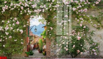 Mua file gốc File tranh gốc in tranh tường nền tổng hợp H7426 (in ấn) tại Filetranh.com