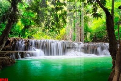 Tải file tranh gốc File tranh gốc in tranh tường nền tổng hợp H7493 chất lượng cao