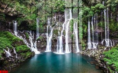 File gốc File tranh gốc in tranh tường nền tổng hợp H7494 (dành cho trang trí nội thất)