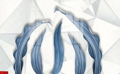 Tải về file tranh gốc File tranh gốc tổng hợp tranh nền tường đẹp H7900 (để in quảng cáo)