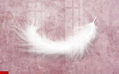 File PSD File tranh gốc tổng hợp tranh nền tường đẹp H8338 (bản gốc) dễ dàng edit