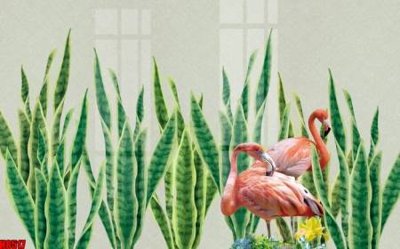 File gốc File tranh gốc tổng hợp tranh nền tường đẹp H8517 (PNG) không nền chất lượng