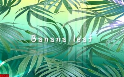 File PSD File tranh gốc tổng hợp tranh nền tường đẹp H8653 (gốc) cho designer