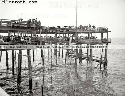 File in trần Hauling the Nets_ 1904 (file gốc) hoa văn 3D