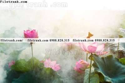 Tải file Hinh anh hoa sen dep 655 (ảnh gốc) độ phân giải 300dpi