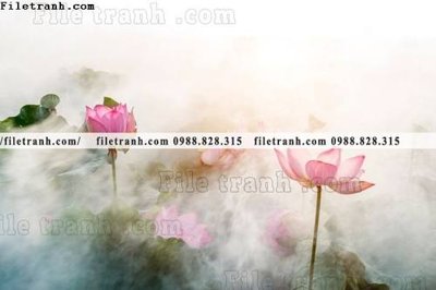 Download file Hinh anh hoa sen dep 656 (gốc) in mica ốp bếp