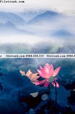 File gốc Hinh anh hoa sen dep 660 (ảnh chi tiết) để in lụa