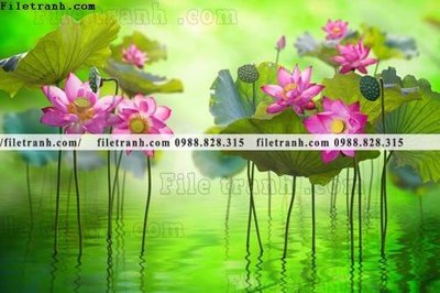 File tranh Hinh anh hoa sen dep 664 (gốc) in trên kính