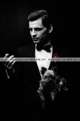 File tranh trang trí Hinh bo gia 102 (tải file gốc)