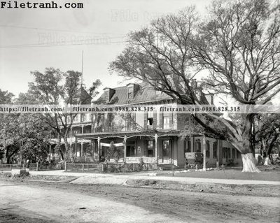 File tranh Hotel Escambia_ 1910 (gốc) chủ đề động vật