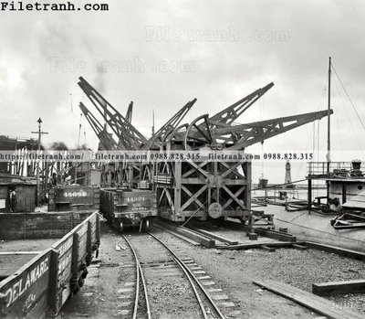 File ảnh Hydra_ 1901 (gốc) in Hiflex