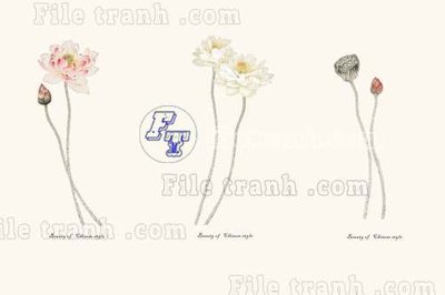 File tranh File tranh gốc tranh tường bích họa idochine trung quốc IDT353 (ảnh gốc) độc quyền