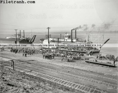 Download file gốc James Lee_ 1900 (in mica) logo