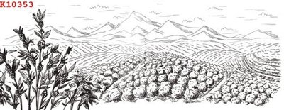 Ảnh gốc File gốc in tranh tổng hợp K10353 (độ nét cao) in tráng gương