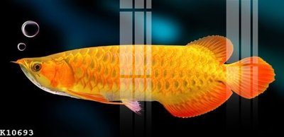 File tranh File gốc in tranh tổng hợp K10693 (bản gốc) in lụa 5D