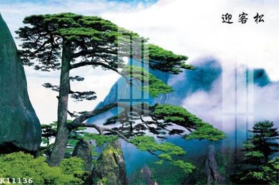 File gốc File gốc in tranh tổng hợp K11136 (PNG) trong suốt (transparent)