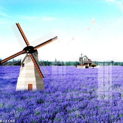 File tranh File gốc in tranh tổng hợp K11190 (bản gốc) in canvas