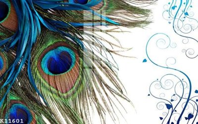 File gốc in tráng gương File gốc in tranh tổng hợp K11601 chi tiết