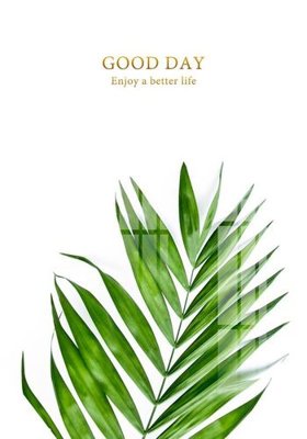 File tranh in mica File gốc in tranh tổng hợp K11619 (độ phân giải cao)