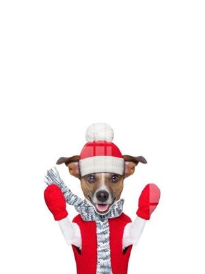 Tải file gốc File gốc in tranh tổng hợp K11657 (in tráng gương) cao cấpFile gốc File gốc in tranh tổng hợp K11657 (in ấn) phiên bản độc quyền