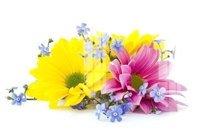 Tải file File gốc in tranh tổng hợp K11789 (gốc) in trên mọi chất liệu