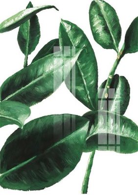 File gốc File gốc in tranh tổng hợp K11819 (phong cách) châu Âu