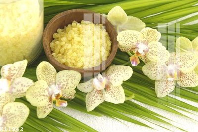 Hình ảnh file gốc in lụa File gốc in tranh tổng hợp K11942