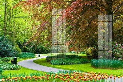 File gốc File gốc in tranh tổng hợp K11957 (ảnh chi tiết) để in ấn