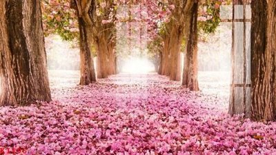 File gốc File gốc in tranh tổng hợp K1196 (in lụa) hoa văn cổ điển