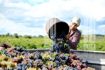 File gốc File gốc in tranh tổng hợp K12007 (in lụa) họa tiết 3D