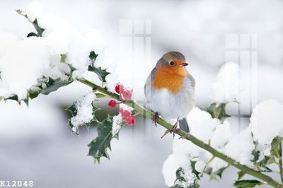 File gốc File gốc in tranh tổng hợp K12048 (thiết kế) độc quyền