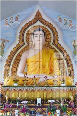 File in trần File gốc in tranh tổng hợp K12077 (bản gốc) hoa văn