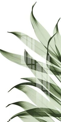 Tải file gốc File gốc in tranh tổng hợp K12150 (bản PSD) đầy đủ layer