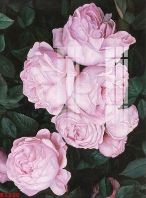 File in ấn File gốc in tranh tổng hợp K1220 (bản gốc) từ file gốc