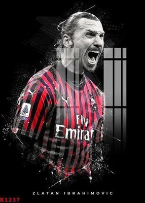 File gốc in tráng gương File gốc in tranh tổng hợp K1237 chi tiết