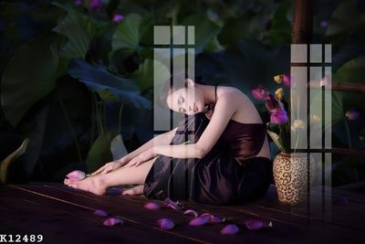 File tranh File gốc in tranh tổng hợp K12489 (gốc) in backlit film