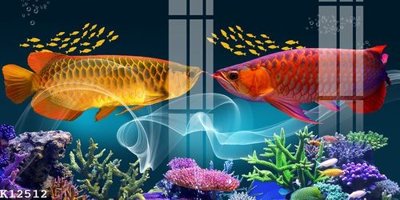 File gốc File gốc in tranh tổng hợp K12512 (PNG) không nền chất lượng