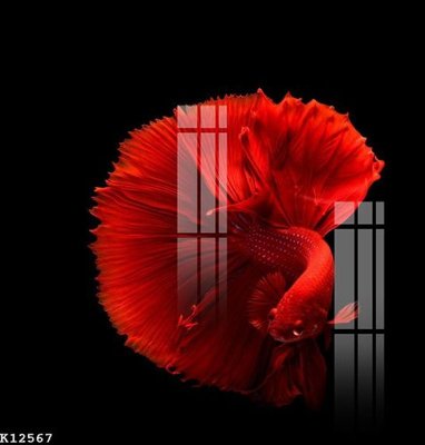 Tải file gốc File gốc in tranh tổng hợp K12567 (bản PSD) còn layer