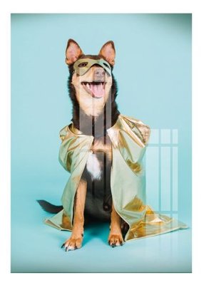 Tải file gốc File gốc in tranh tổng hợp K12607 (in khổ lớn) không mờ