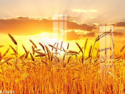 Tệp tin gốc File gốc in tranh tổng hợp K12695 (dùng cho in ấn) chuyên nghiệp