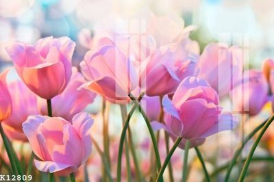 File tranh File gốc in tranh tổng hợp K12809 (ảnh gốc) cho in ấn kỹ thuật số