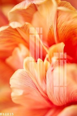 Tải file gốc File gốc in tranh tổng hợp K12815 (in tráng gương) 5DFile gốc File gốc in tranh tổng hợp K12815 (in ấn) phiên bản premium