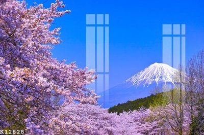 File tranh quảng cáo File gốc in tranh tổng hợp K12828 (download file gốc)