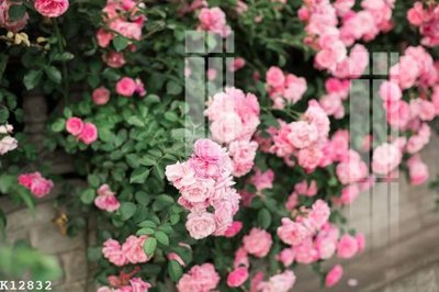 File tranh File gốc in tranh tổng hợp K12832 (ảnh gốc) in trần 3D