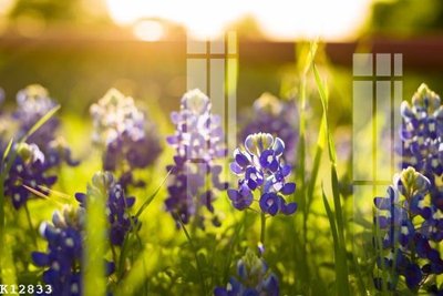 File ảnh File gốc in tranh tổng hợp K12833 (gốc) trang trí khách sạn