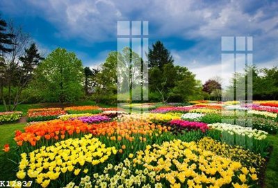 File ảnh gốc File gốc in tranh tổng hợp K12837 (chuyên in mica)