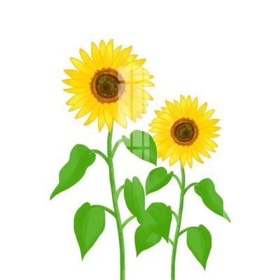 File gốc File gốc in tranh tổng hợp K12851 (bản quyền) cho in ấn