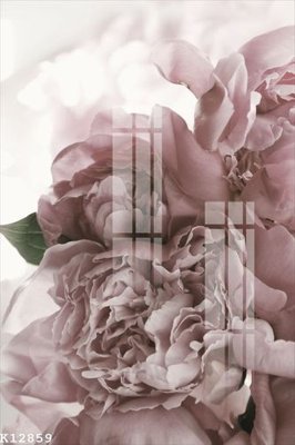 File in trần File gốc in tranh tổng hợp K12859 (bản gốc 3D) sống động