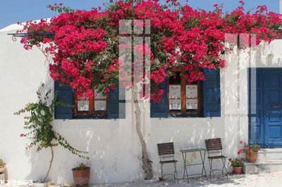 File gốc File gốc in tranh tổng hợp K12863 cho in ấn và thiết kế